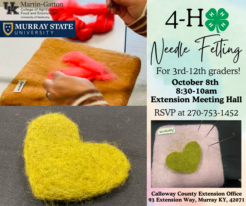 Needle felting flyer