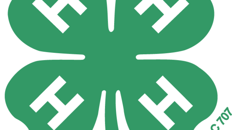 4h logo