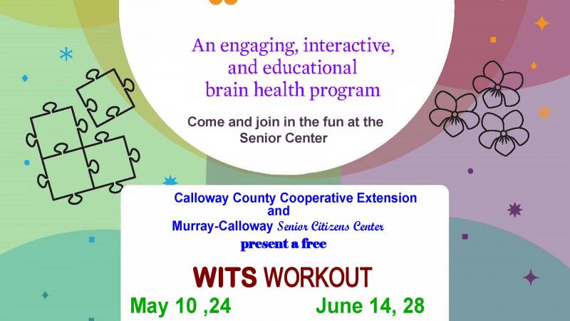 Informational Flyer for WITS Workout Classes